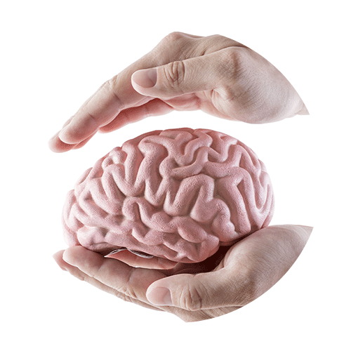 hands protecting brain